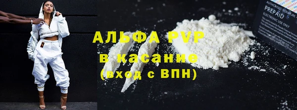 прущие грибы Арсеньев