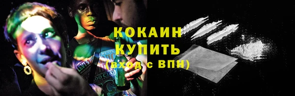 индика Семикаракорск