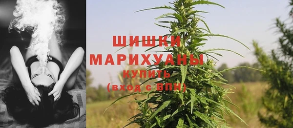 прущие грибы Арсеньев